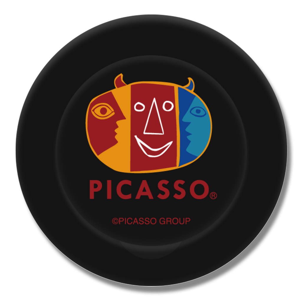 PICASSO - My Picasso